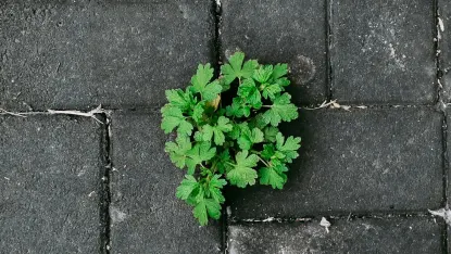 Kaszinó Deposit Win Mobilalkalmazás